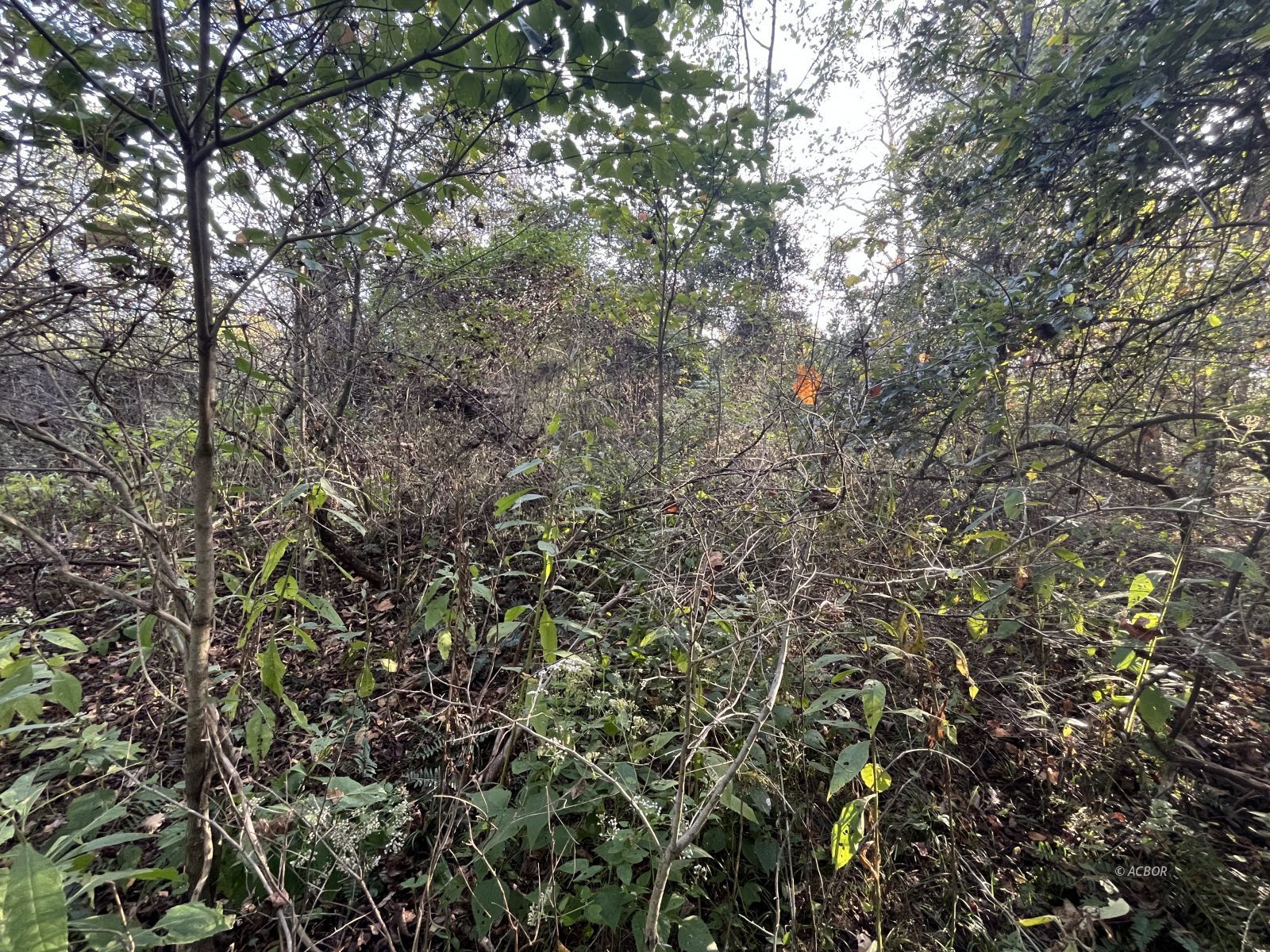 Star Hall Rd Property Photo 50