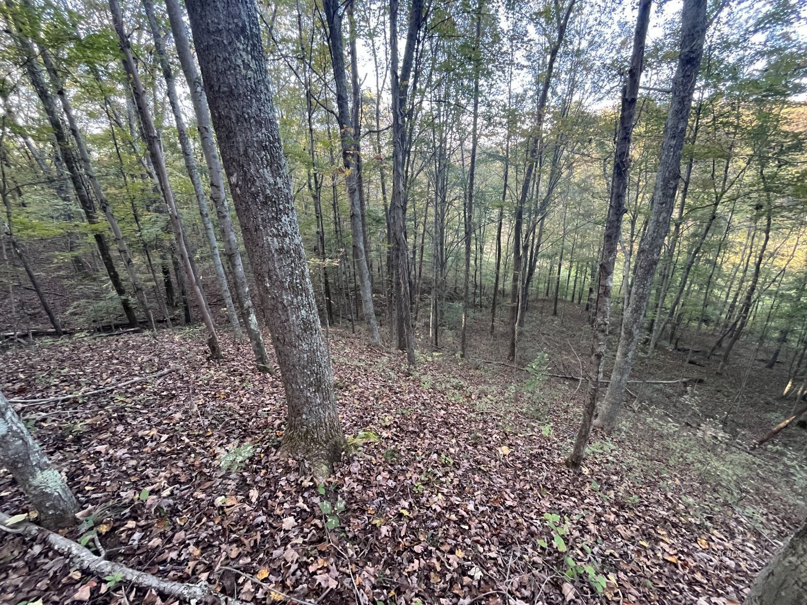 Star Hall Rd Property Photo 56