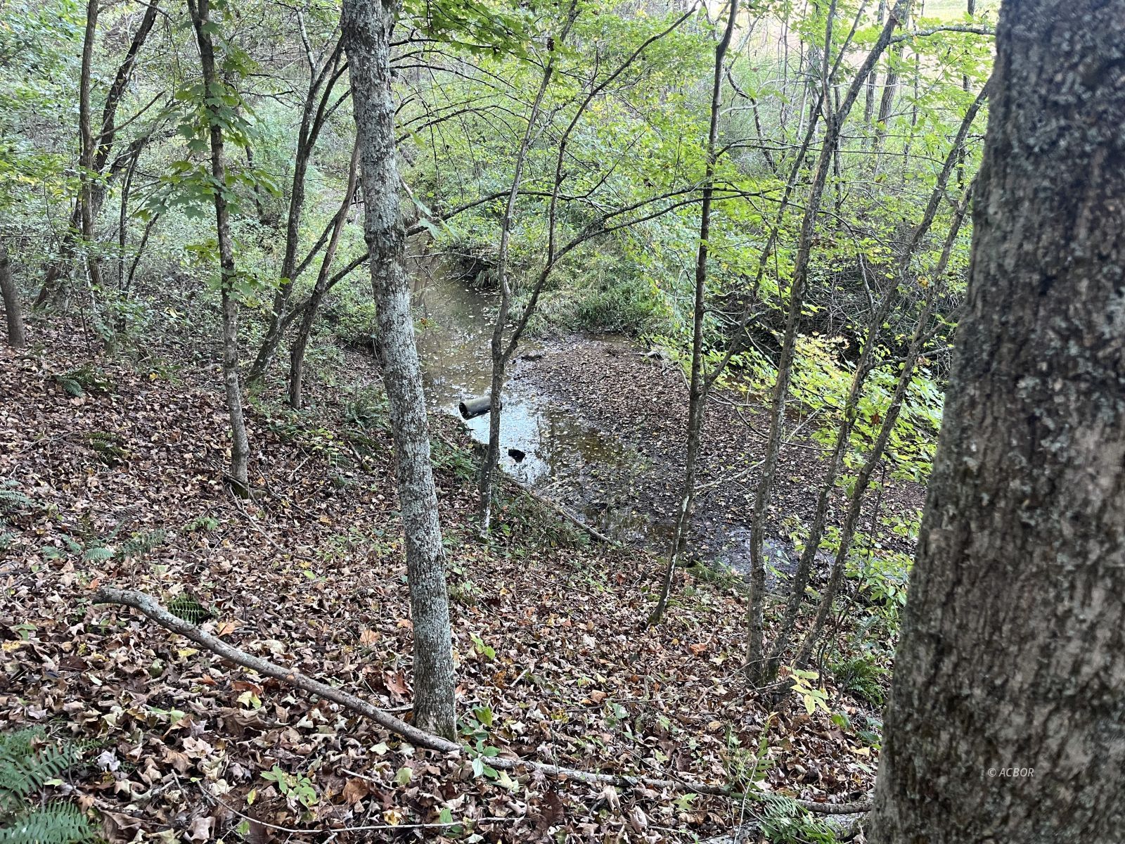 Star Hall Rd Property Photo 58