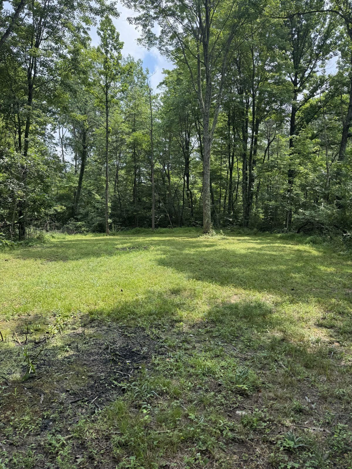 15091 Purdum Rd Property Photo 41