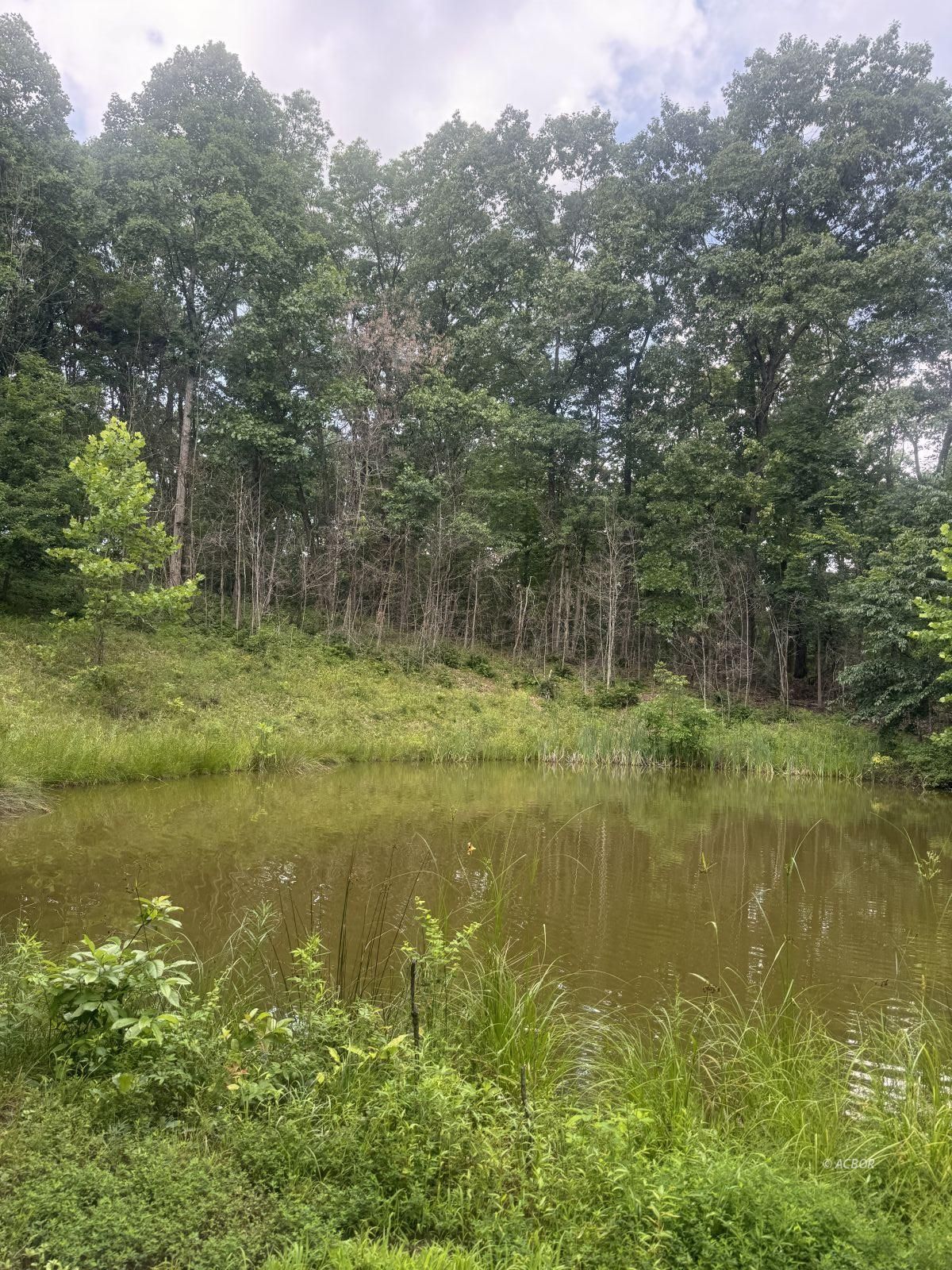 15091 Purdum Rd Property Photo 43