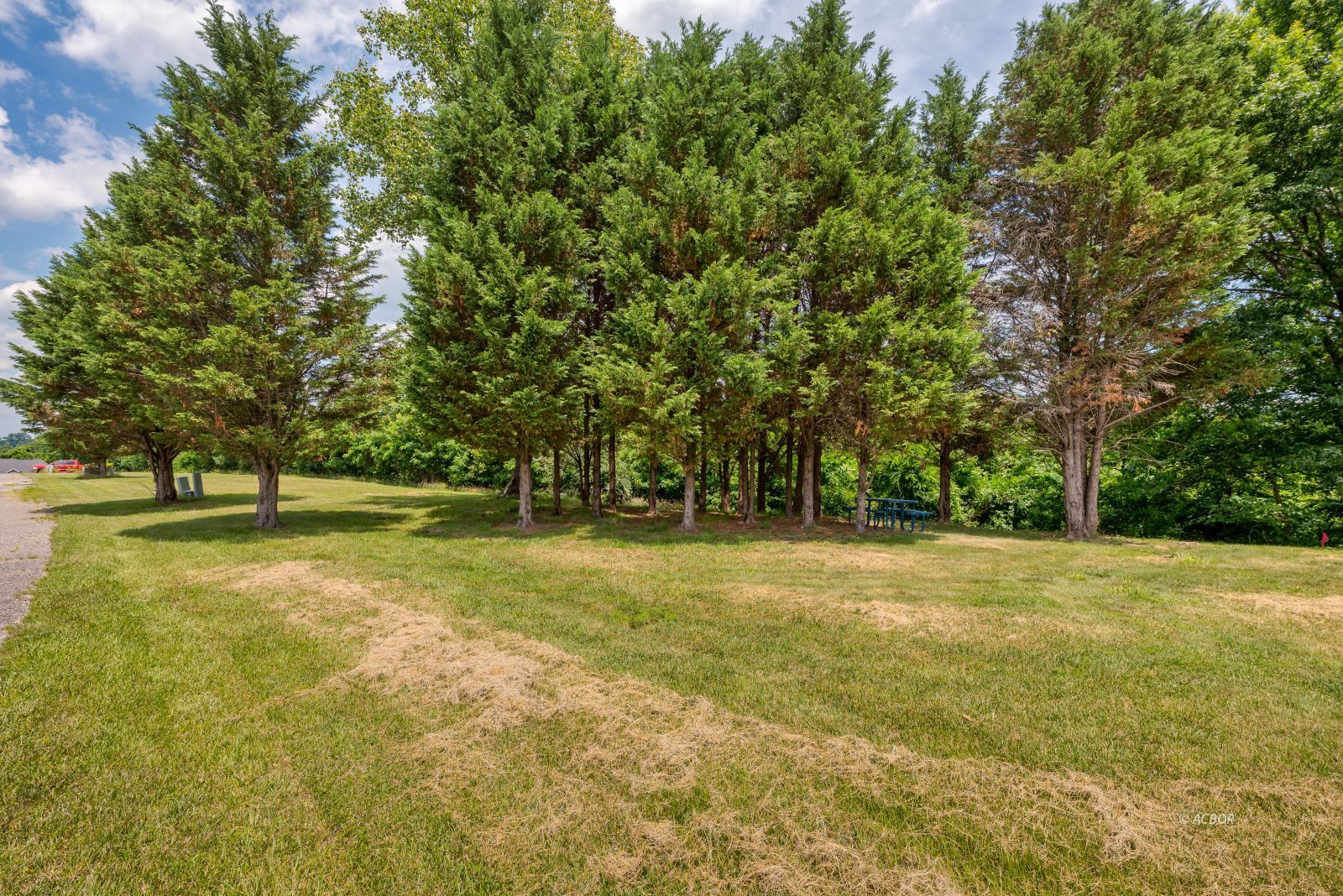 Private Drive 155 Property Photo 8