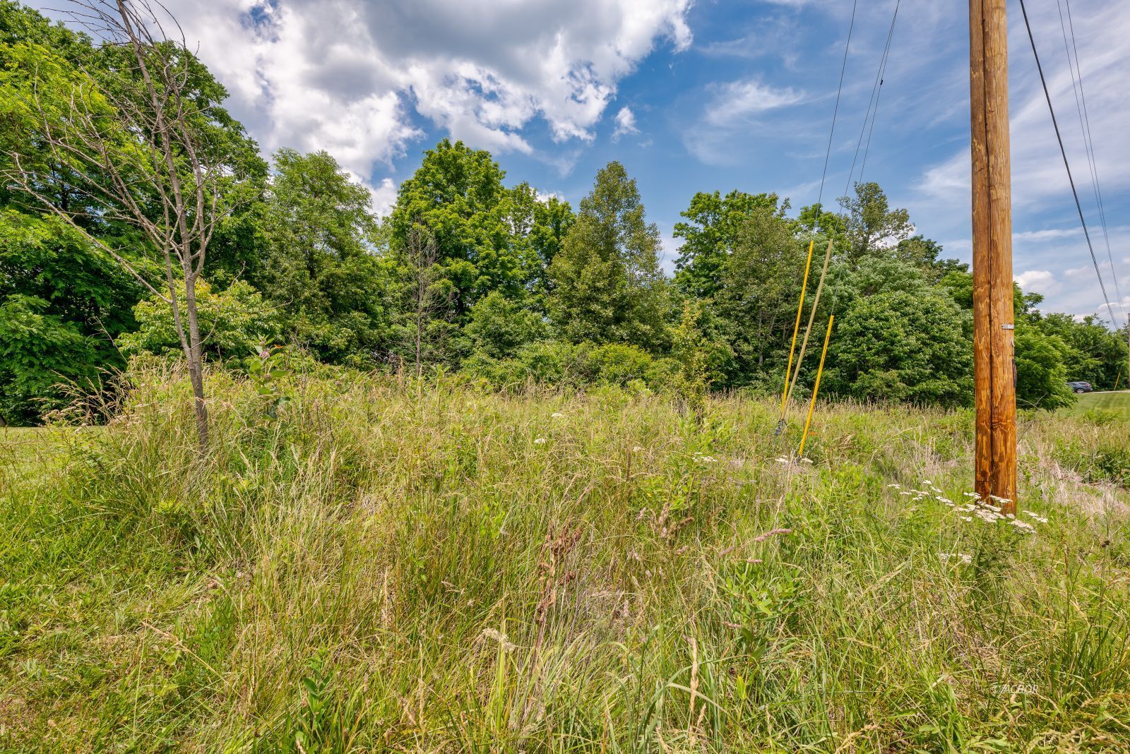 County Road 71 Property Photo 5