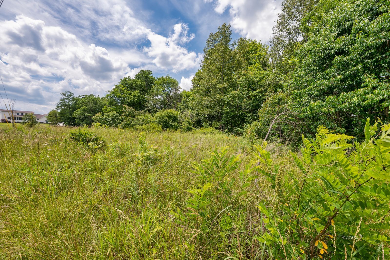 County Road 71 Property Photo 6