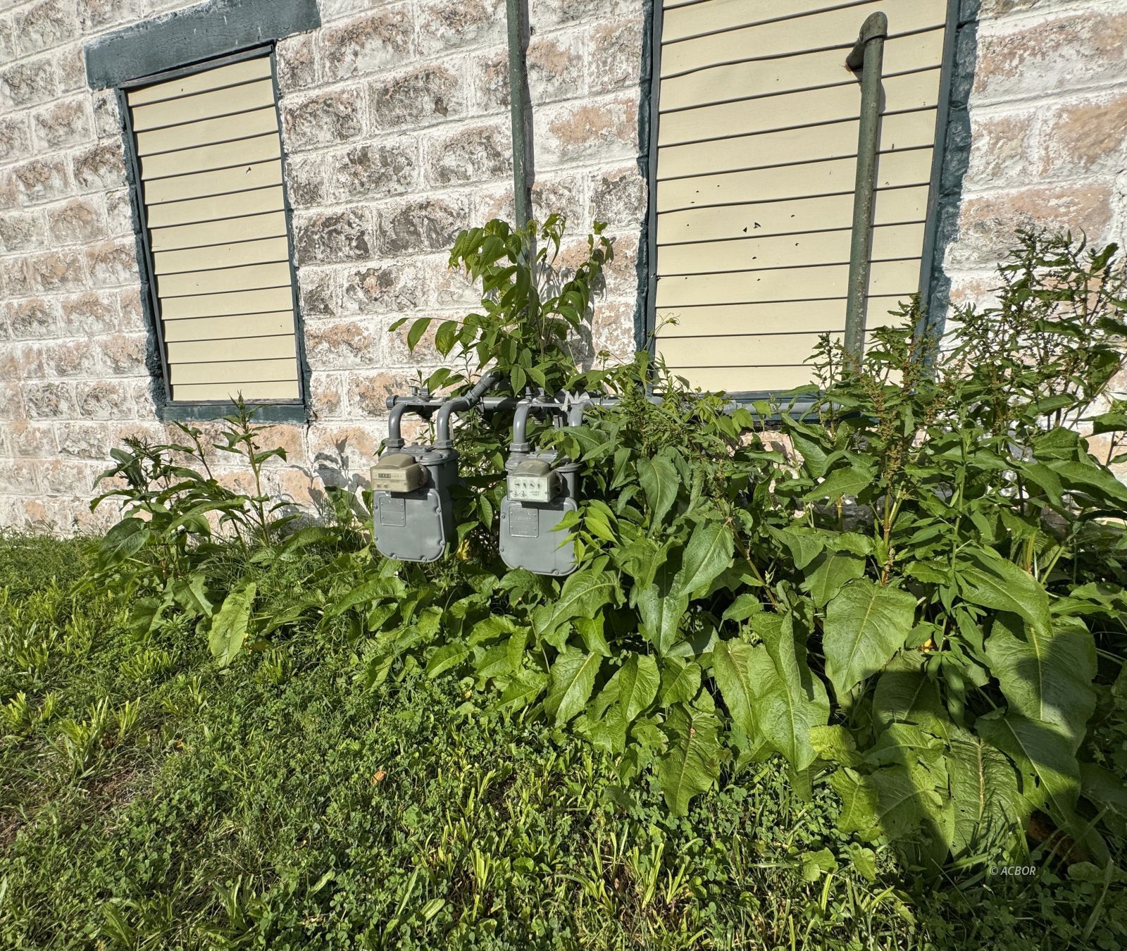 1274 Eastern Ave Property Photo 39