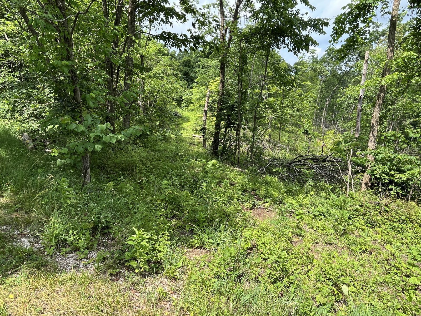 37900 Holley Rd Property Photo 24