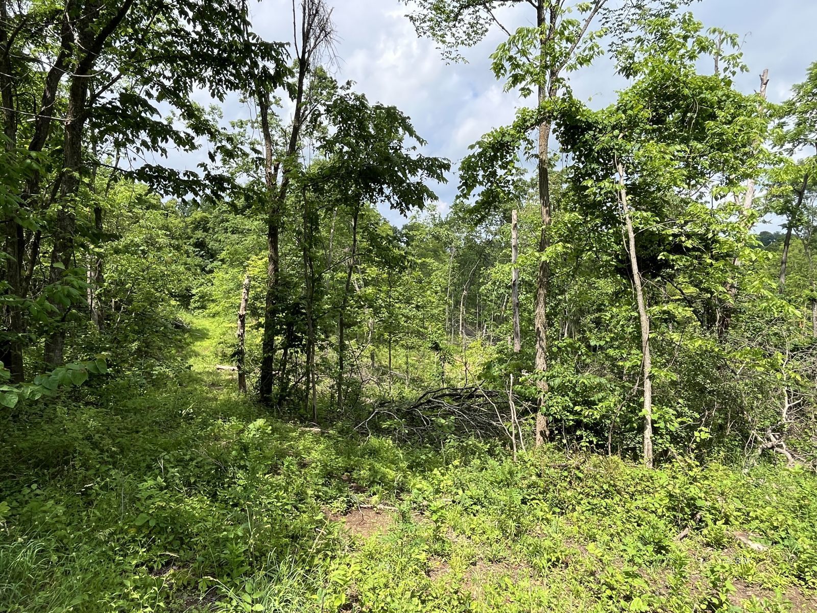 37900 Holley Rd Property Photo 25
