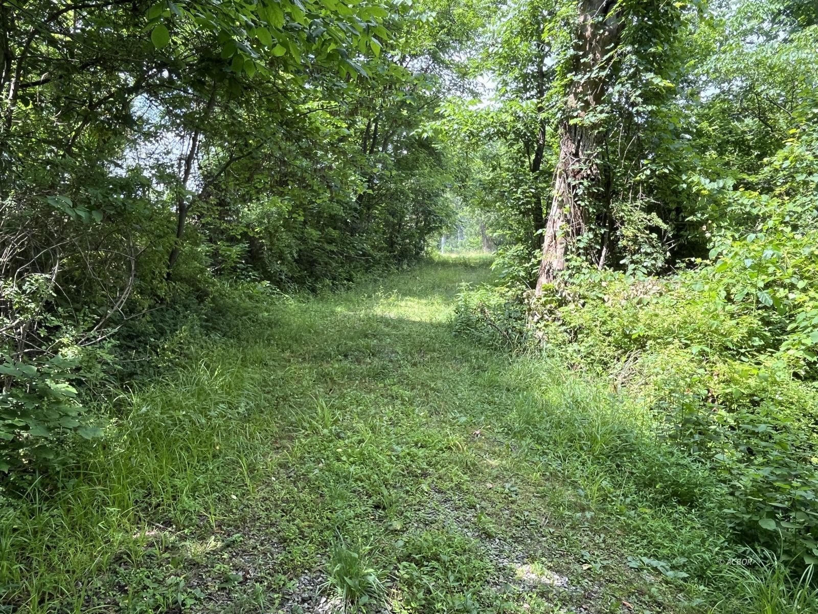 37900 Holley Rd Property Photo 26