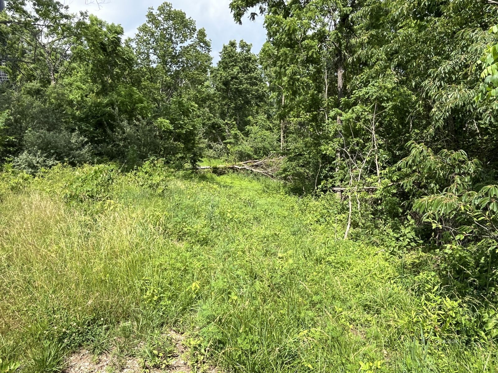 37900 Holley Rd Property Photo 28