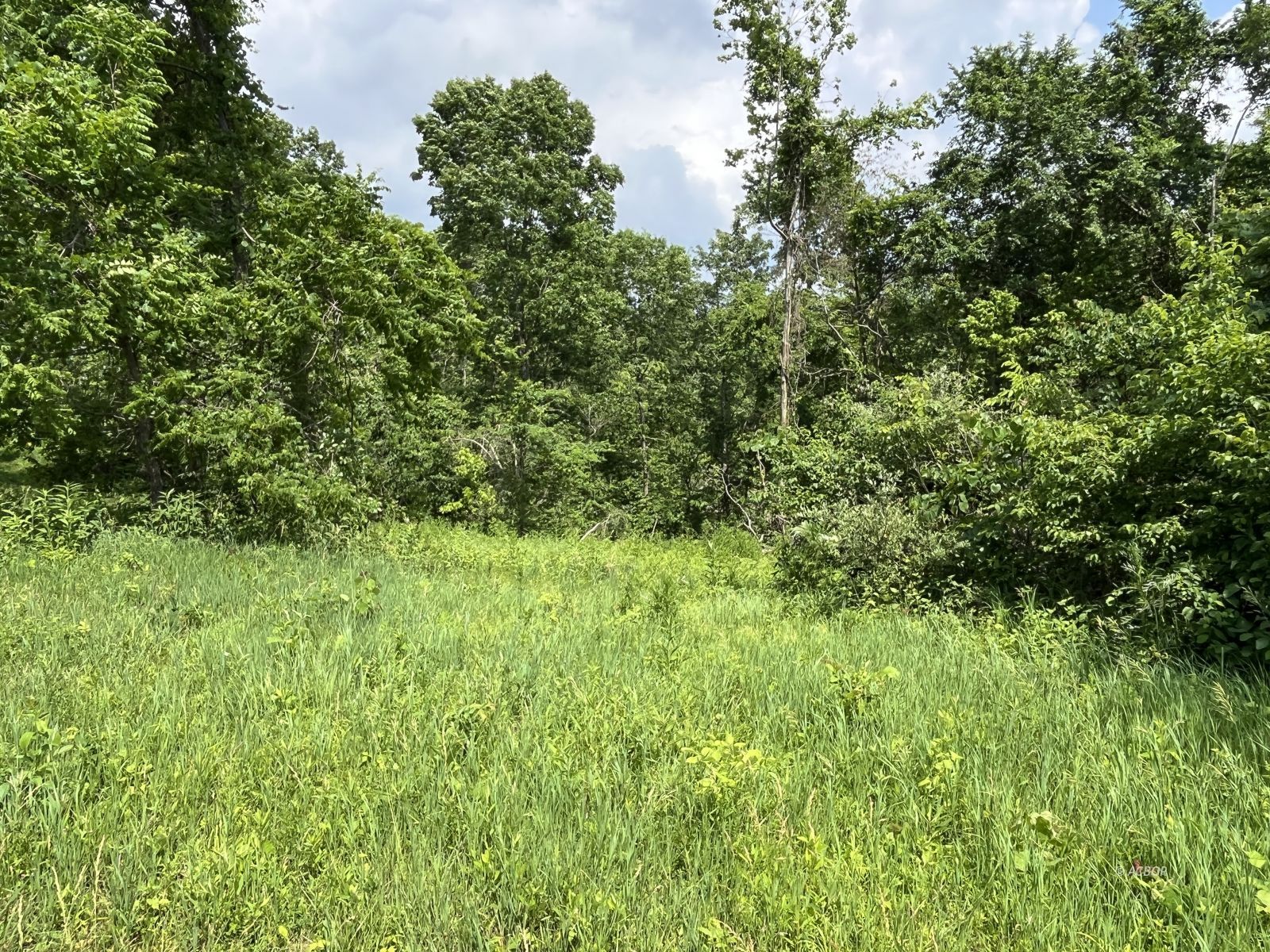 37900 Holley Rd Property Photo 29