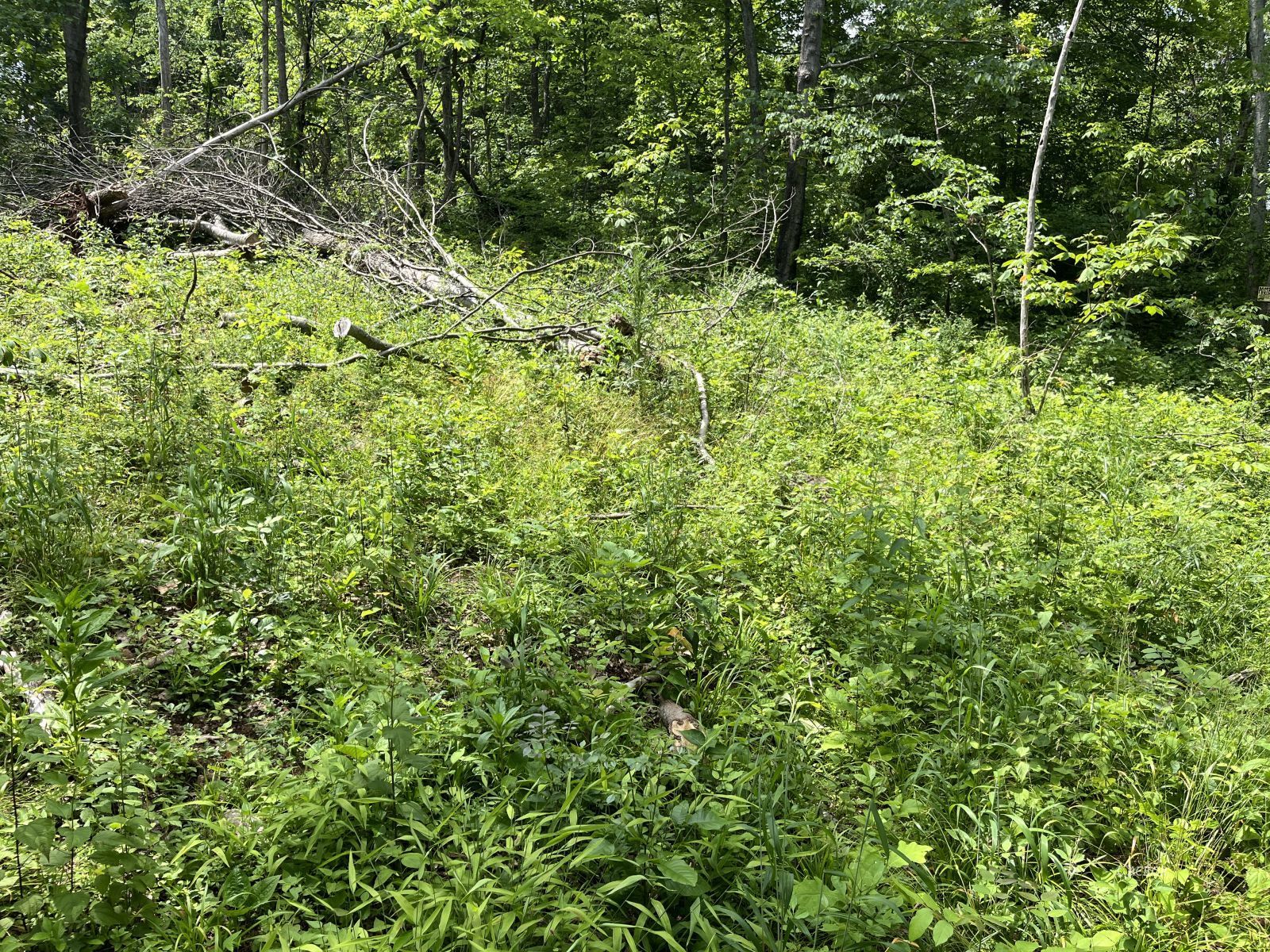 37900 Holley Rd Property Photo 35