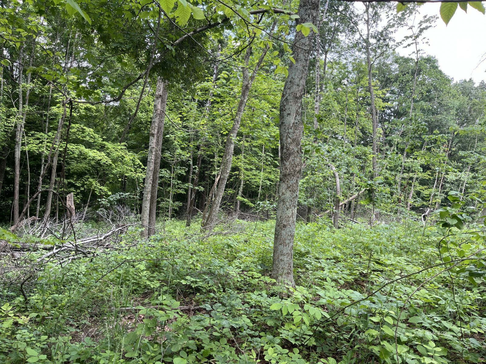37900 Holley Rd Property Photo 38