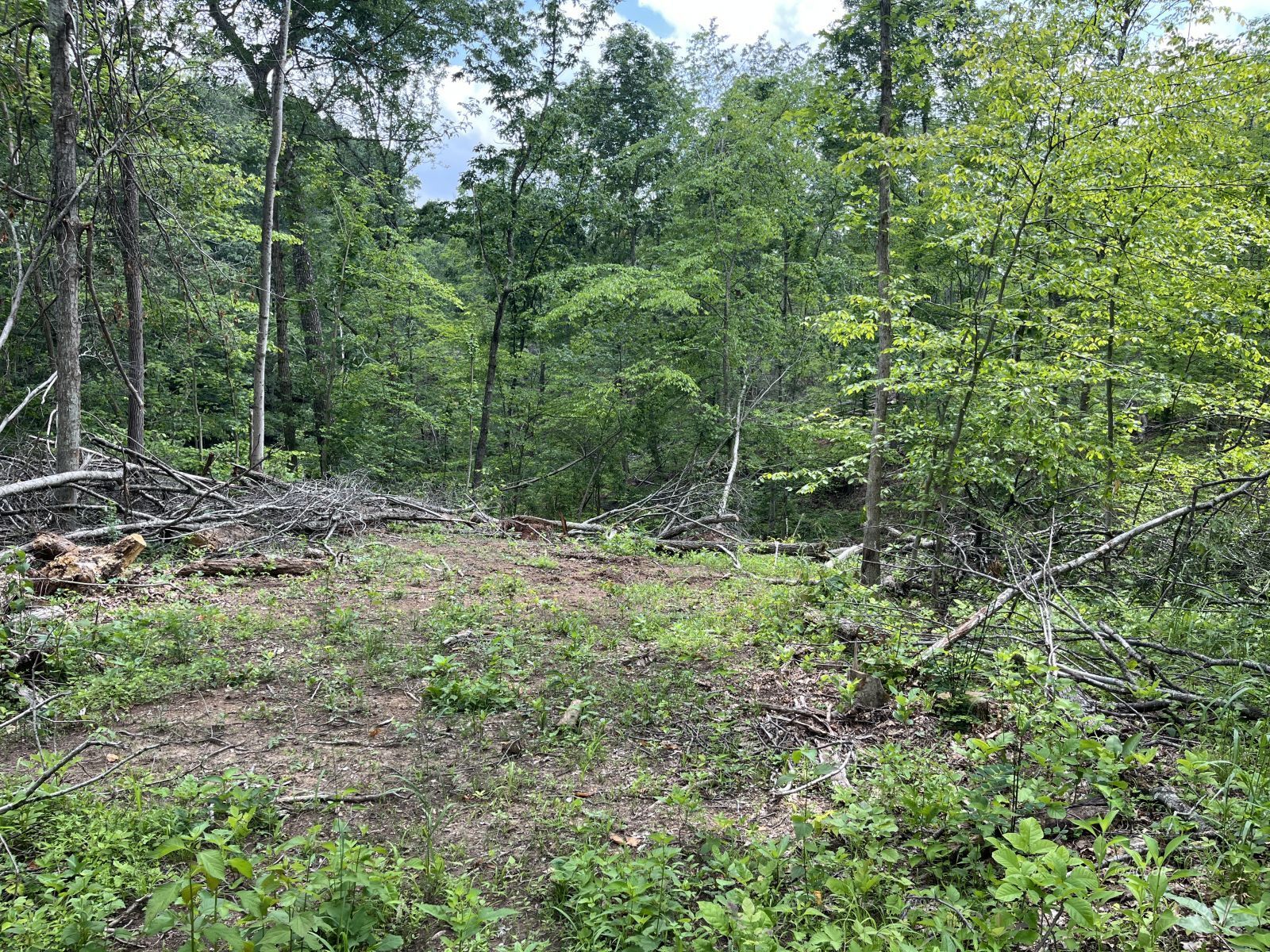 37900 Holley Rd Property Photo 40