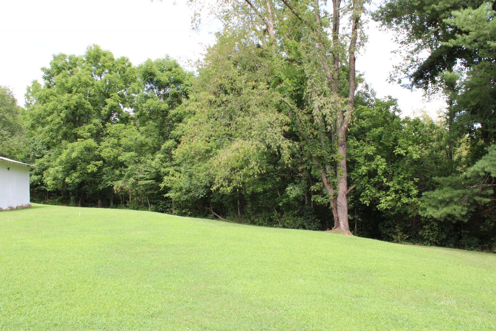 2964 Tick Ridge Rd Property Photo 51
