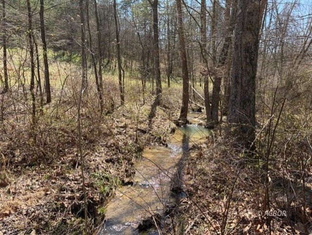 22497 State Route 93 S Property Photo 17