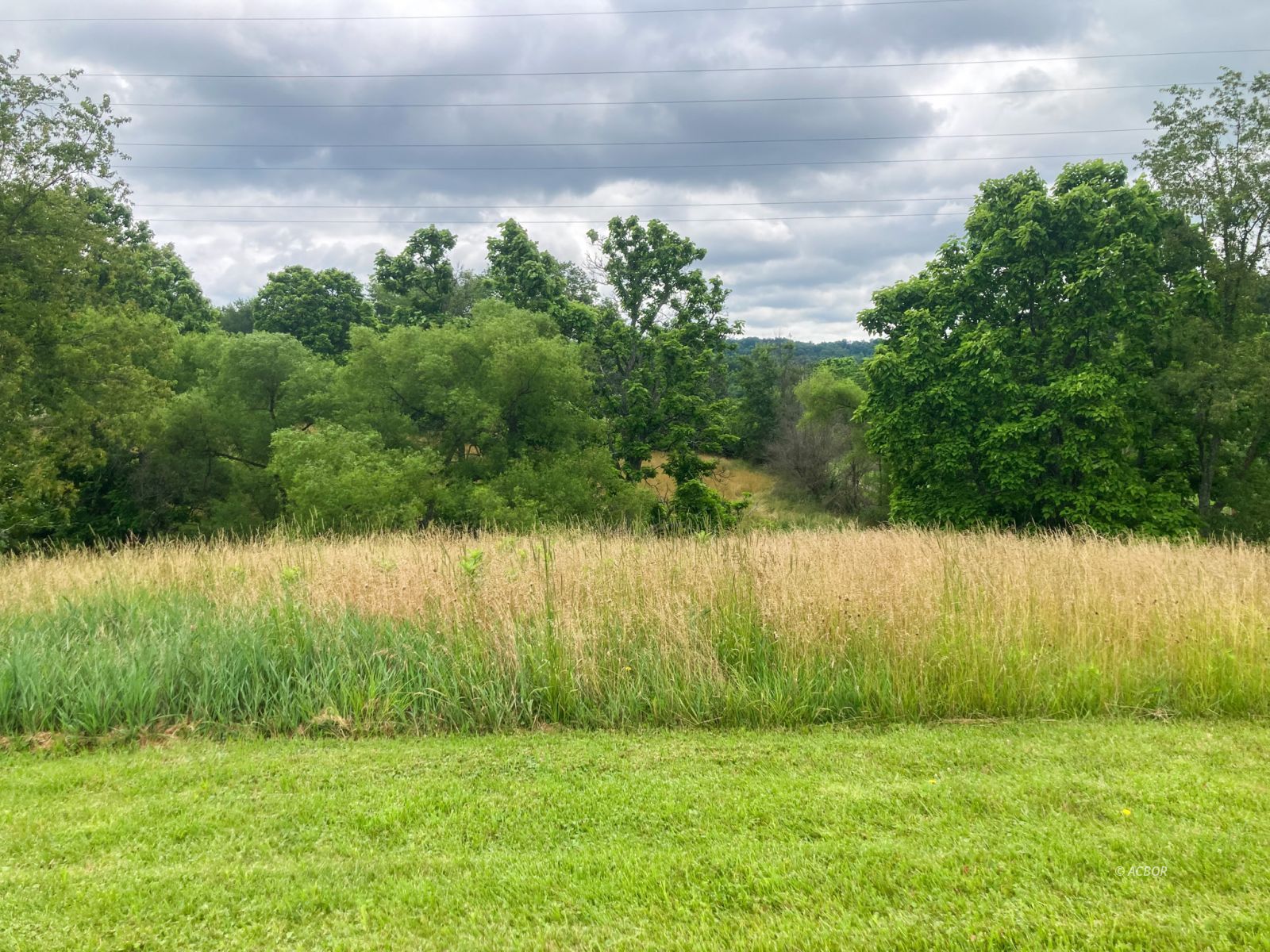 5918 Rossetter Rd Property Photo 32