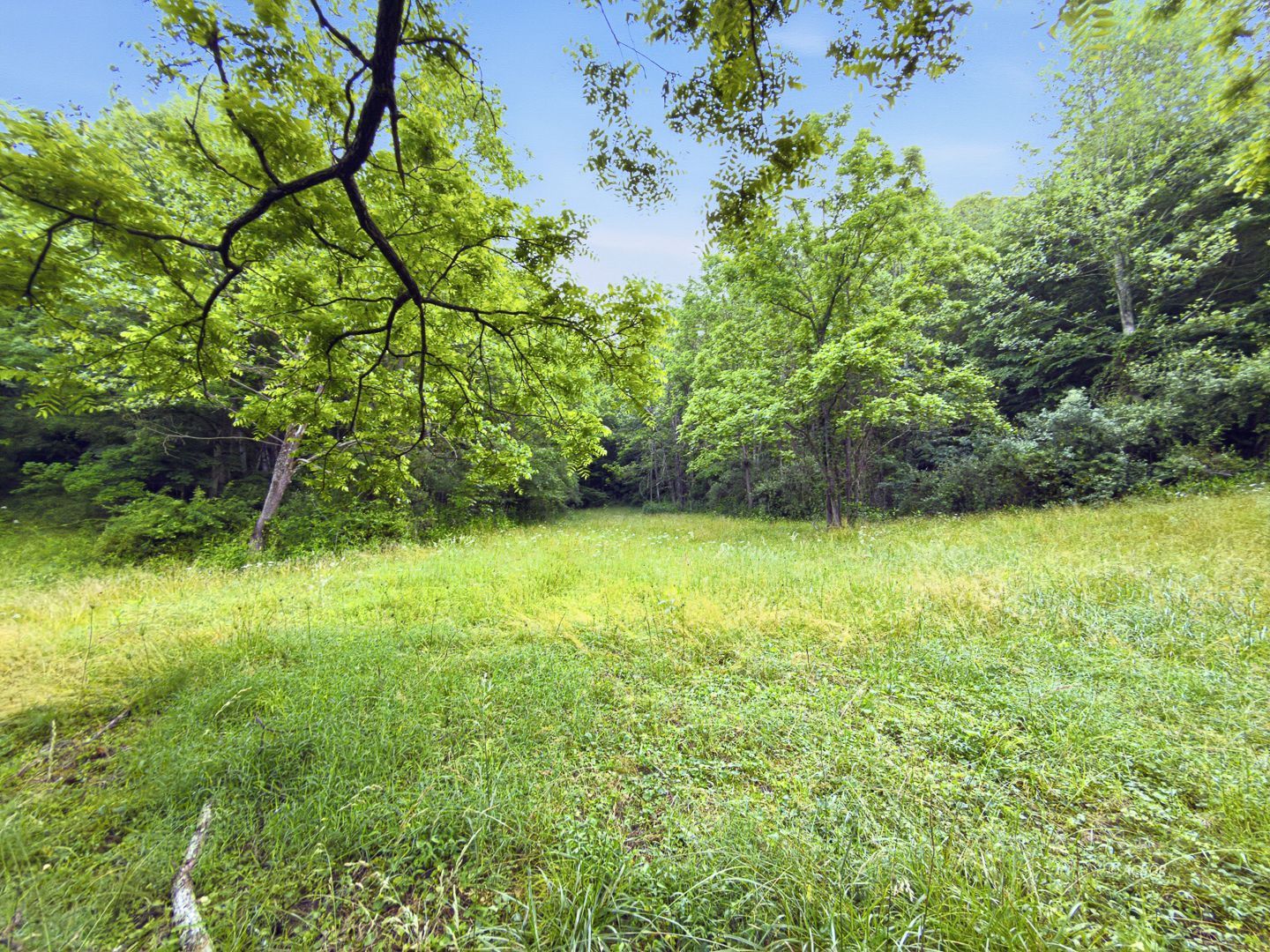 State Route 140 Property Photo 3