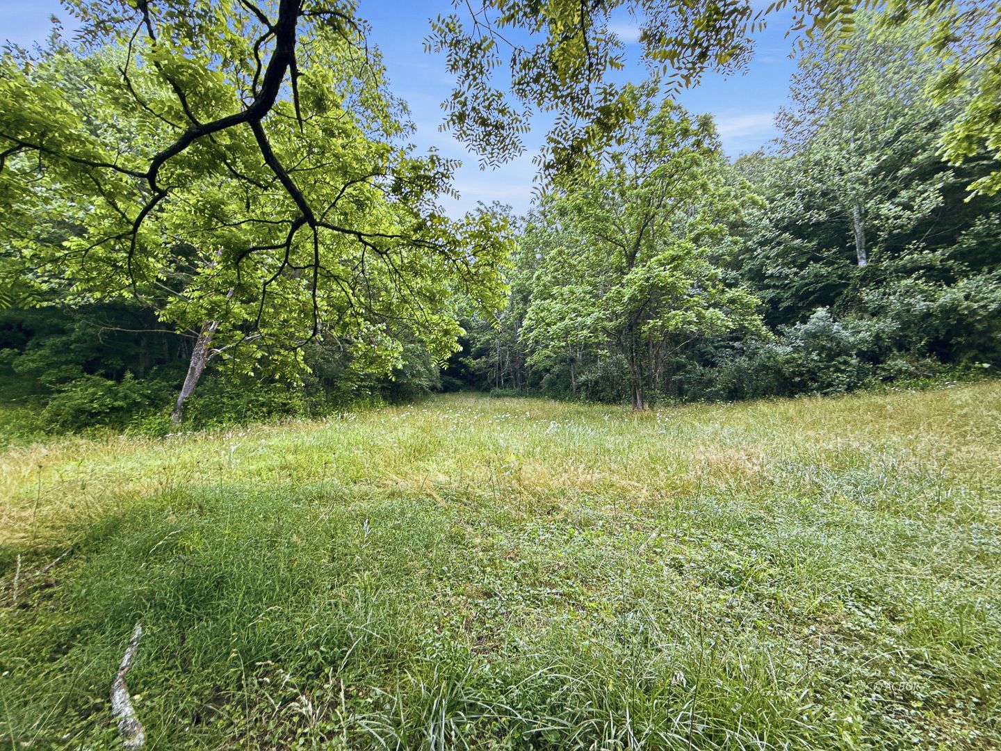 State Route 140 Property Photo 5