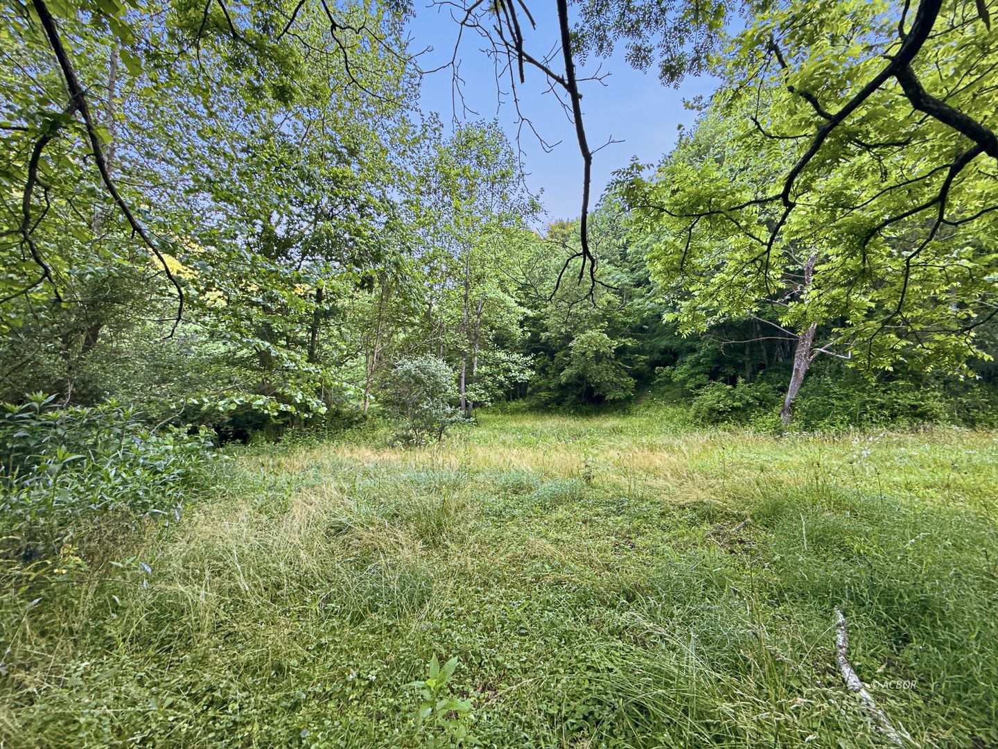 State Route 140 Property Photo 6