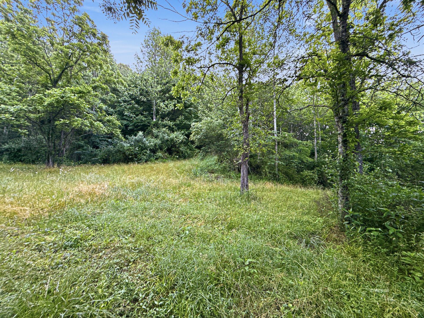 State Route 140 Property Photo 7