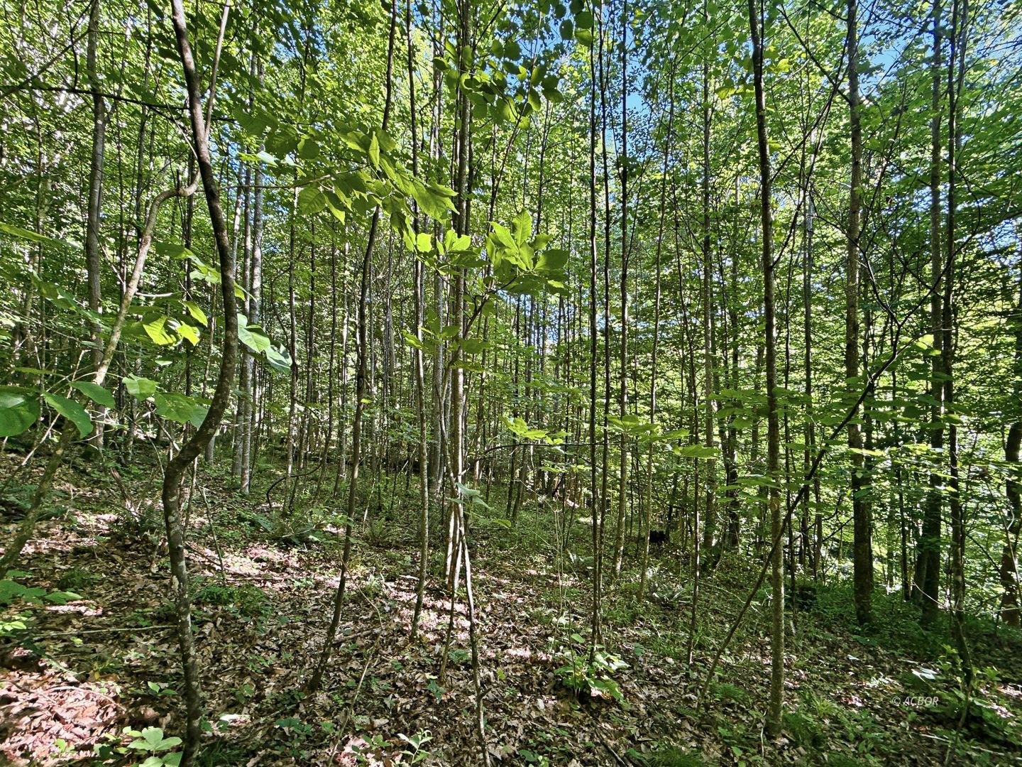 State Route 140 Property Photo 8