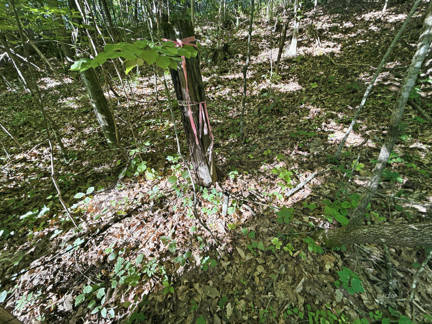 State Route 140 Property Photo 9