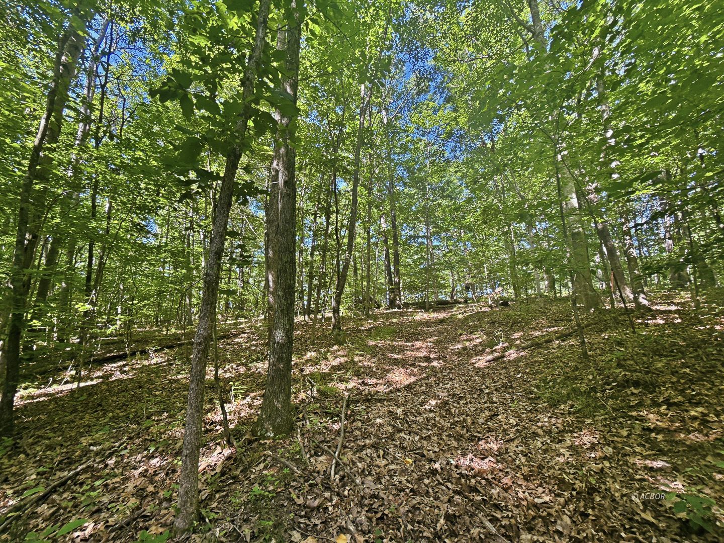 State Route 140 Property Photo 14