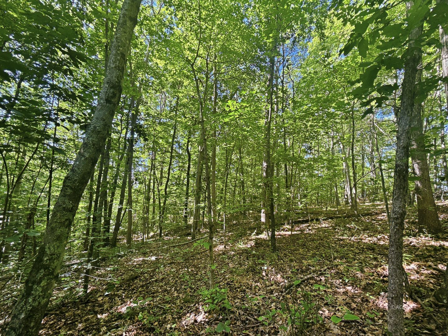 State Route 140 Property Photo 15