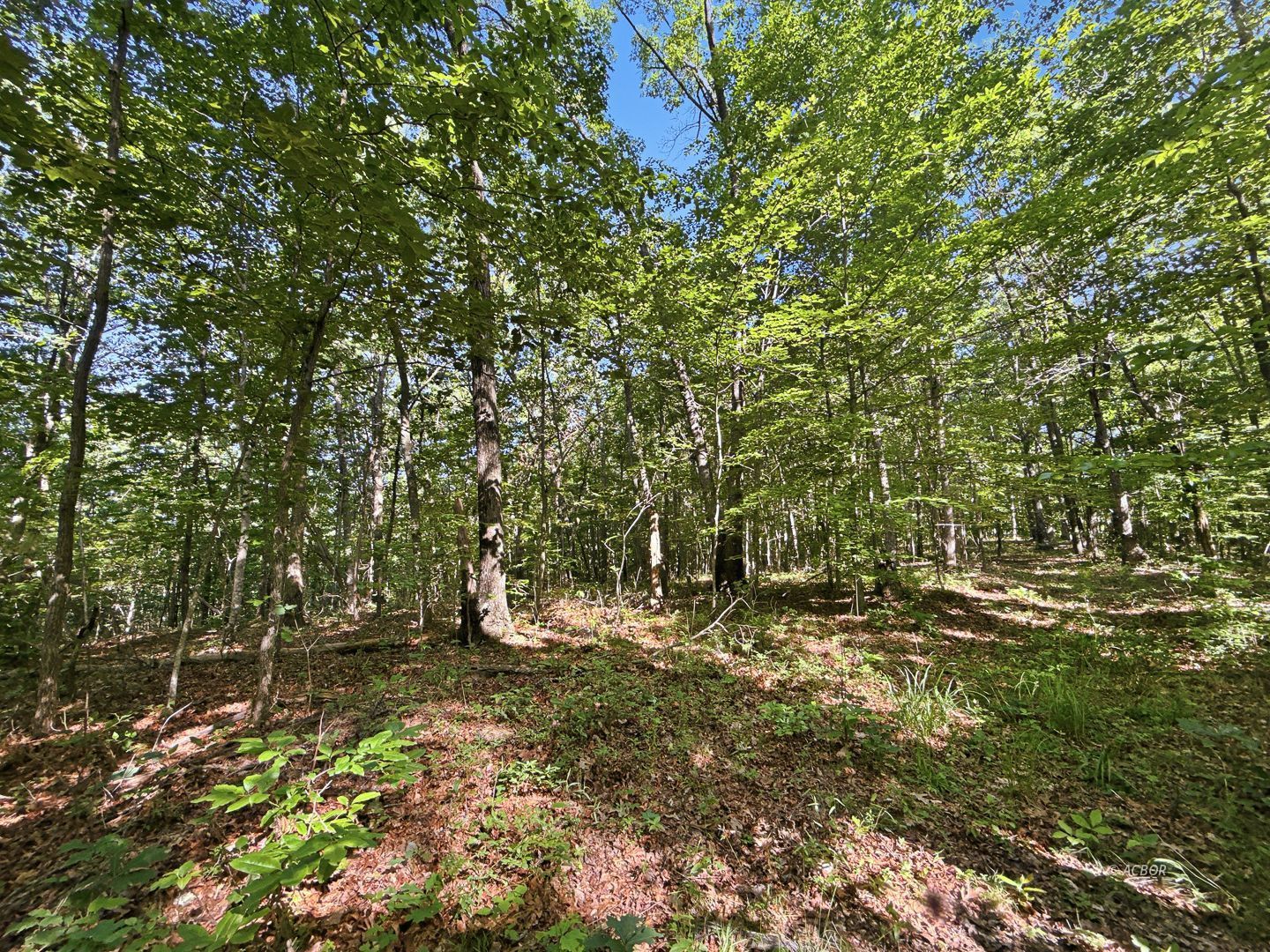 State Route 140 Property Photo 23