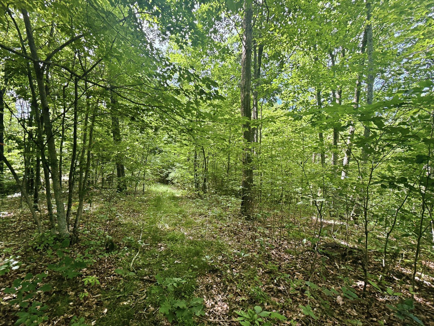 State Route 140 Property Photo 27
