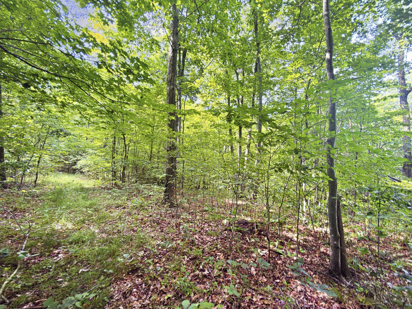 State Route 140 Property Photo 30