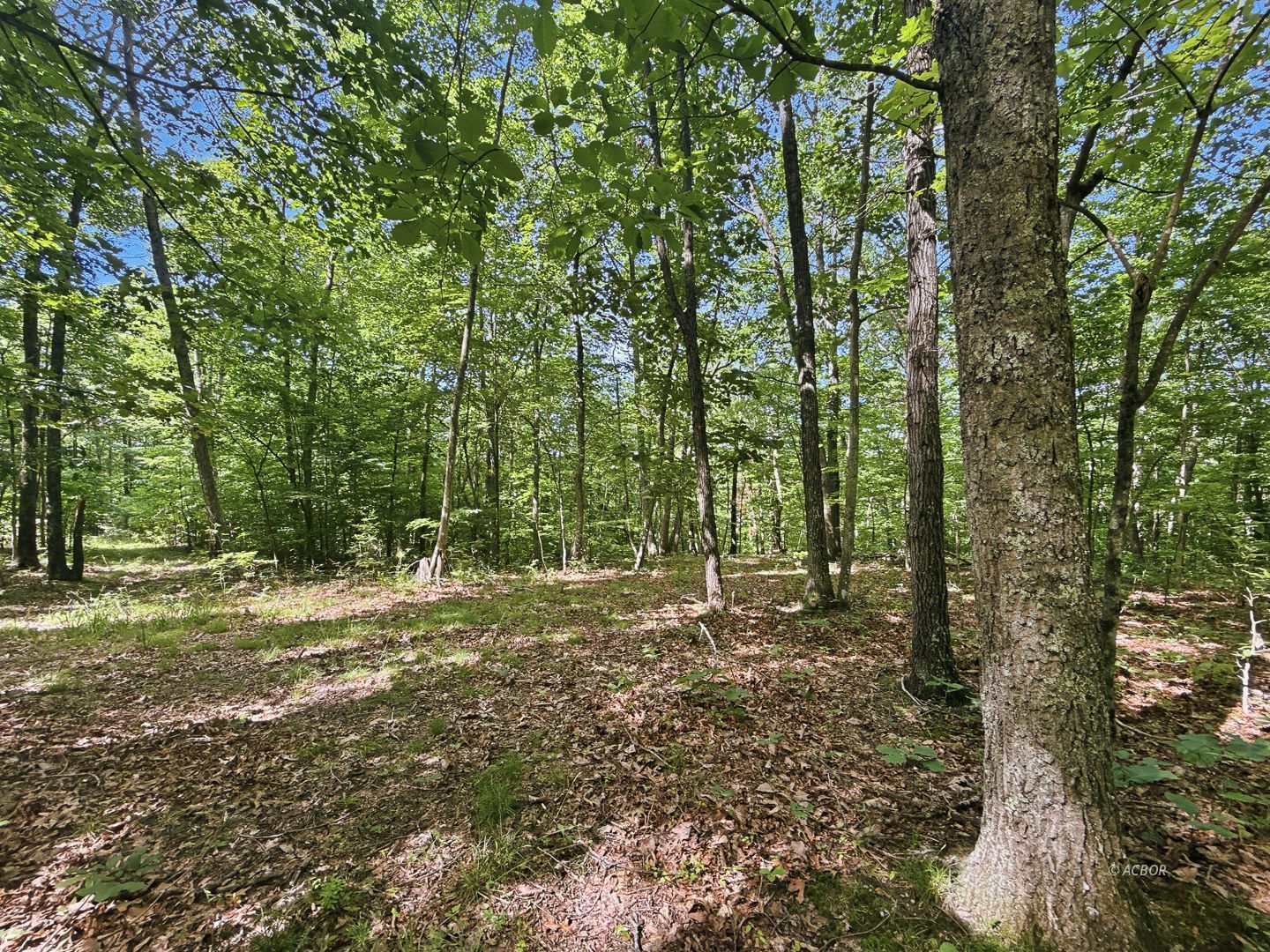 State Route 140 Property Photo 32