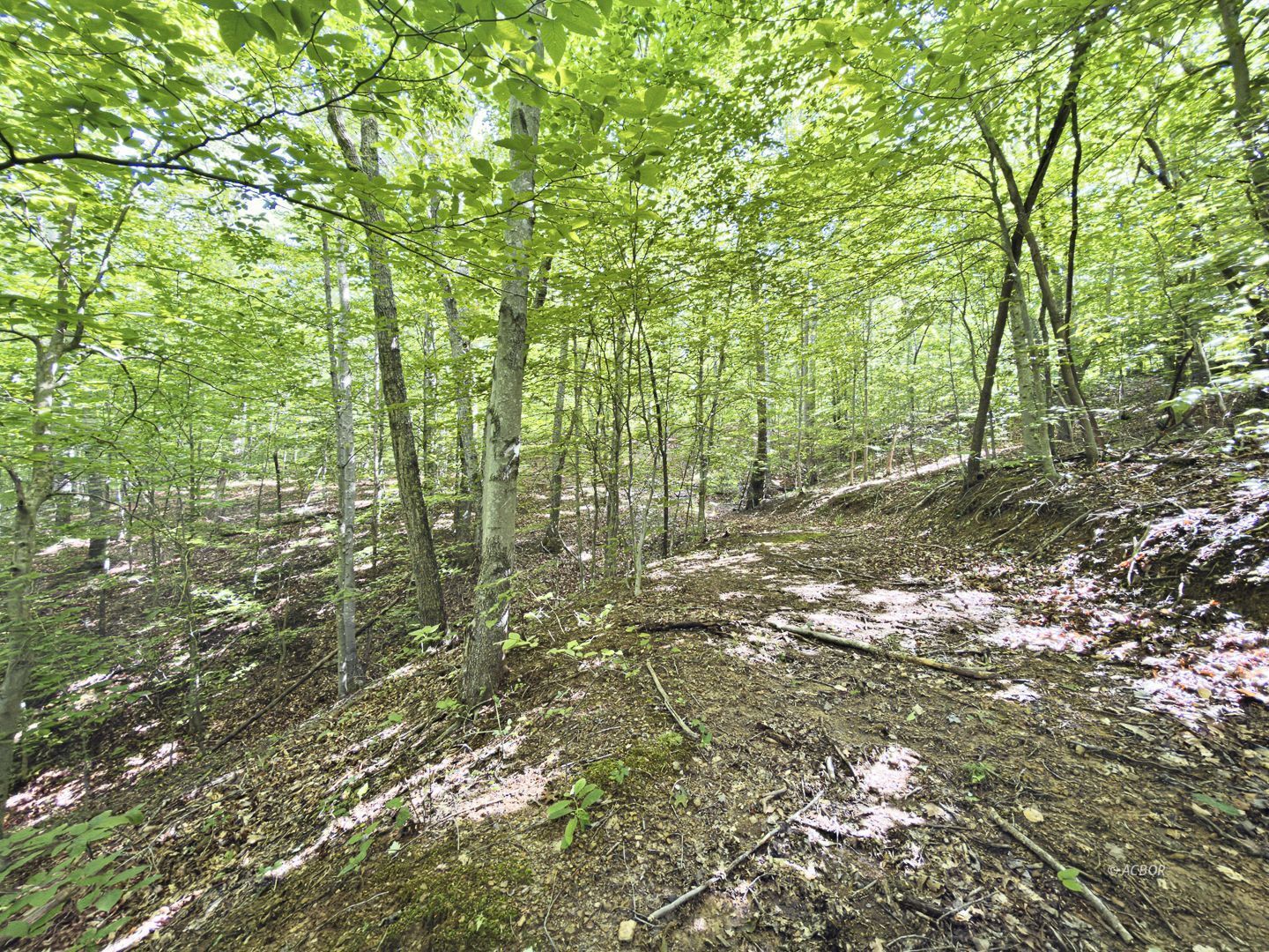 State Route 140 Property Photo 34