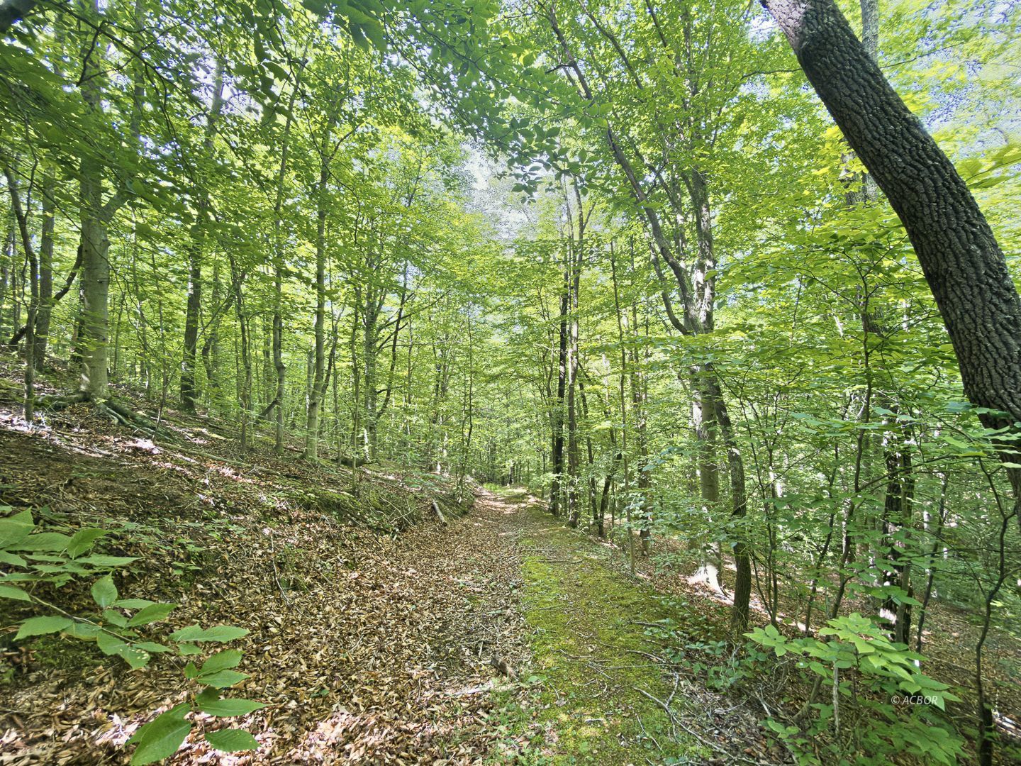 State Route 140 Property Photo 35