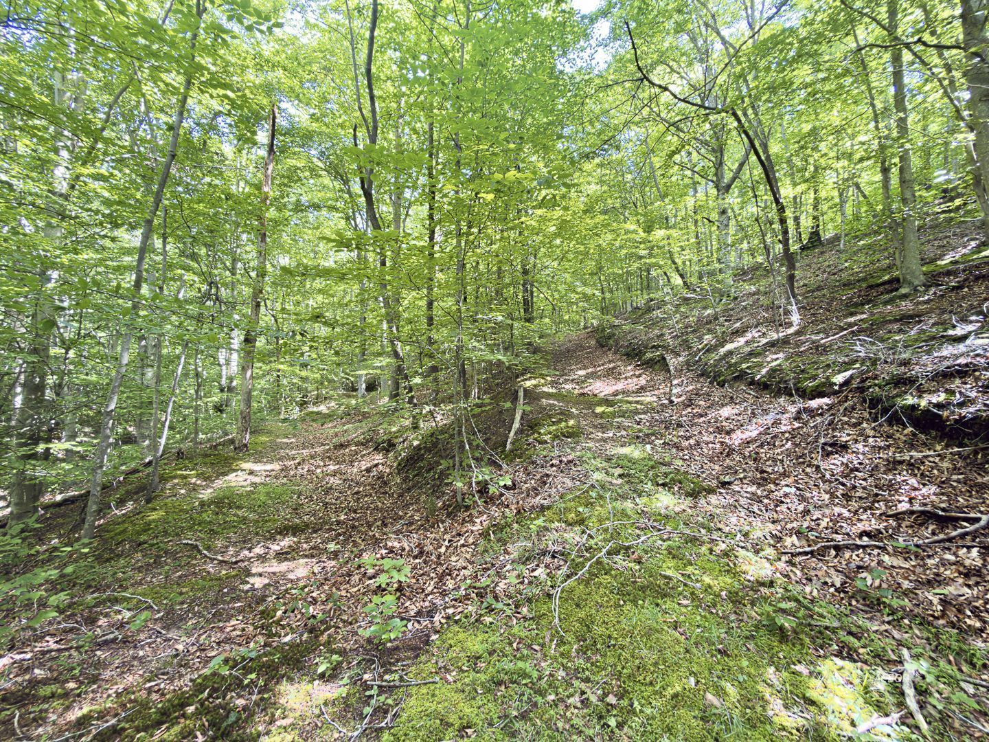 State Route 140 Property Photo 36