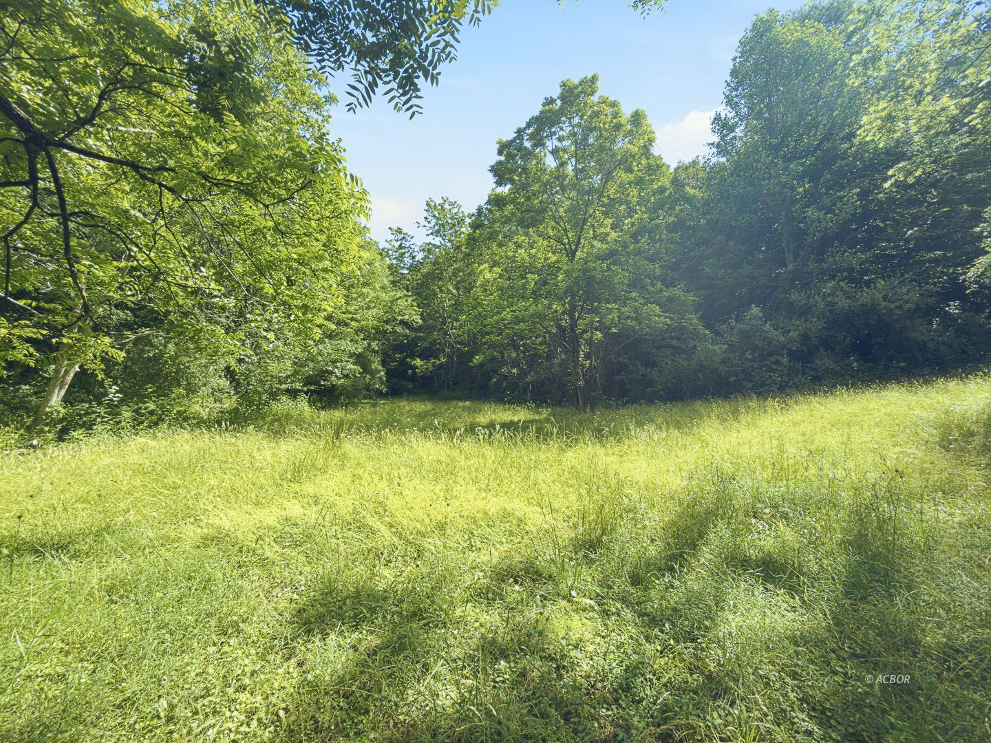 State Route 140 Property Photo 44