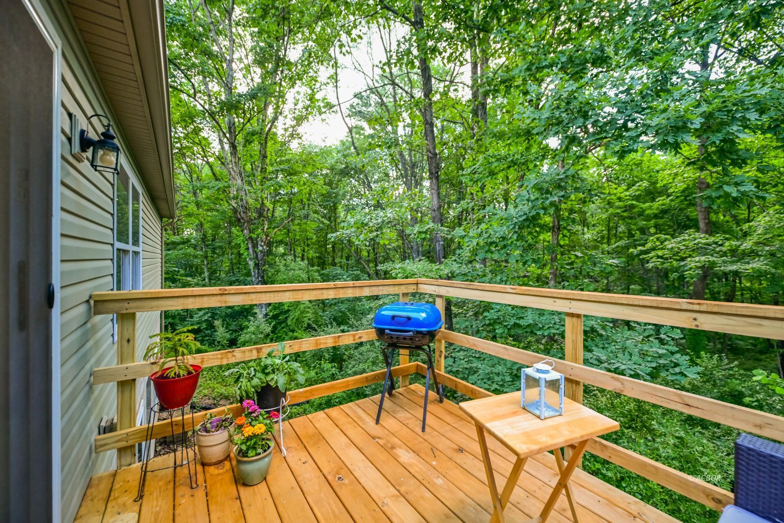 39088 Mcdaniel Rd Property Photo 5