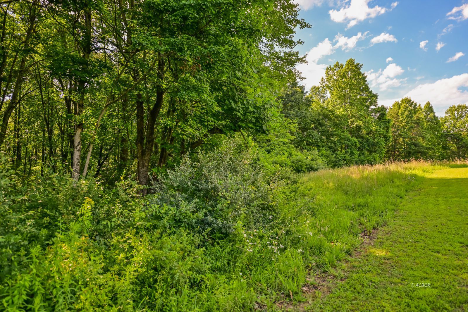 39088 Mcdaniel Rd Property Photo 49
