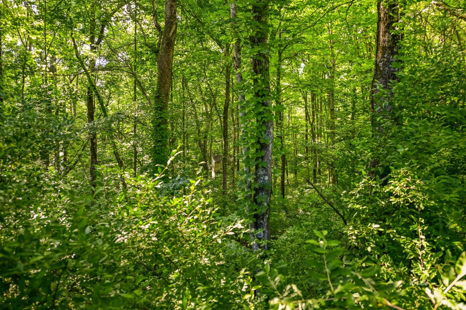 39088 Mcdaniel Rd Property Photo 50