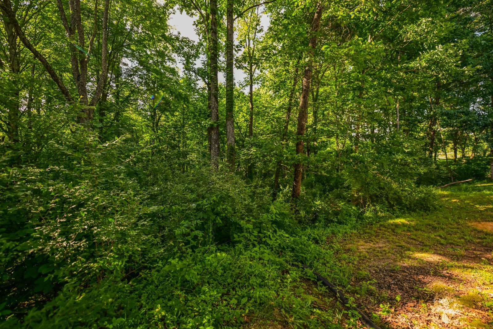 39088 Mcdaniel Rd Property Photo 52