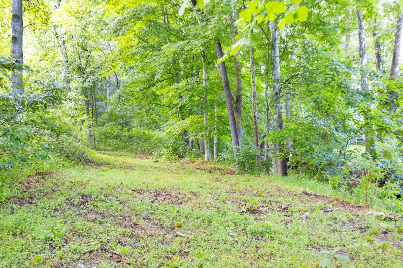 22529 Conrad Rd Property Photo 43