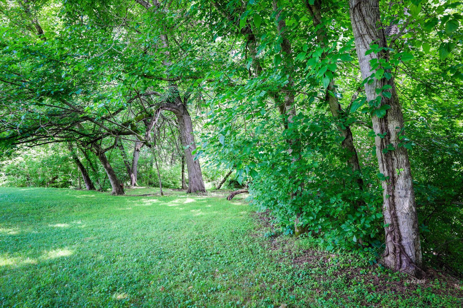 700 State Route 664 Property Photo 43