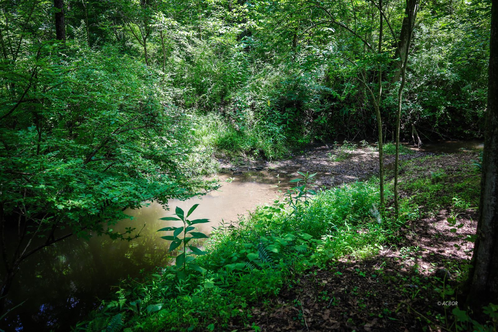 700 State Route 664 Property Photo 49