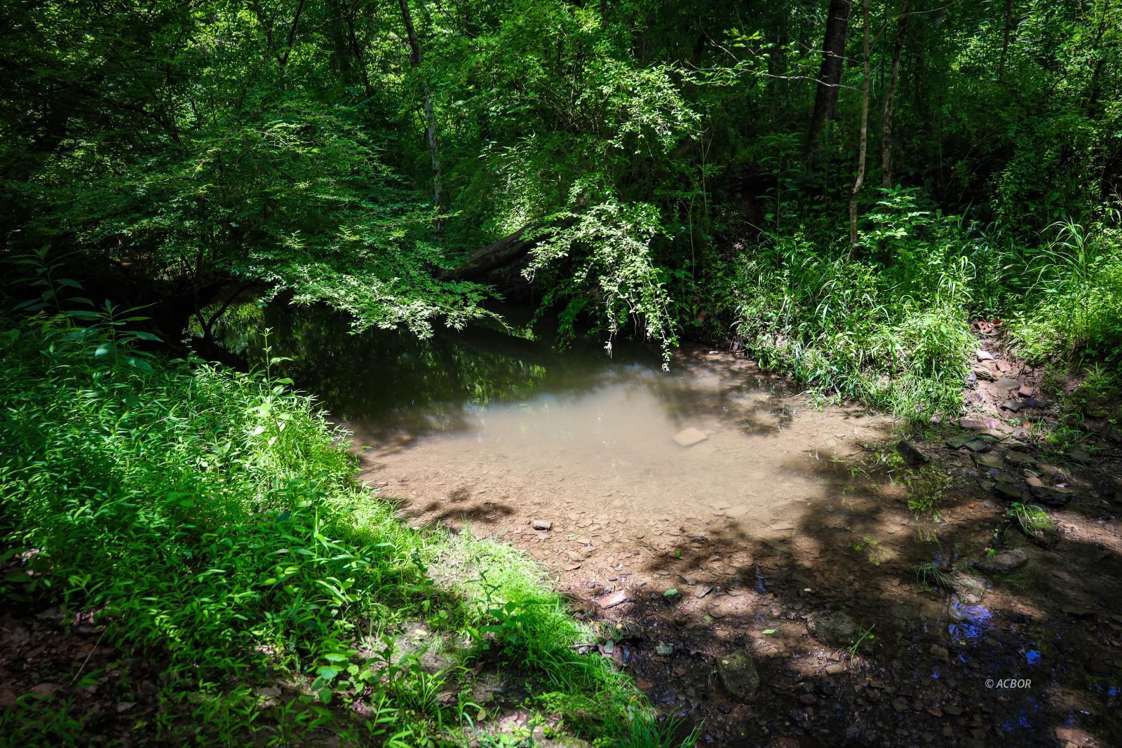 700 State Route 664 Property Photo 50