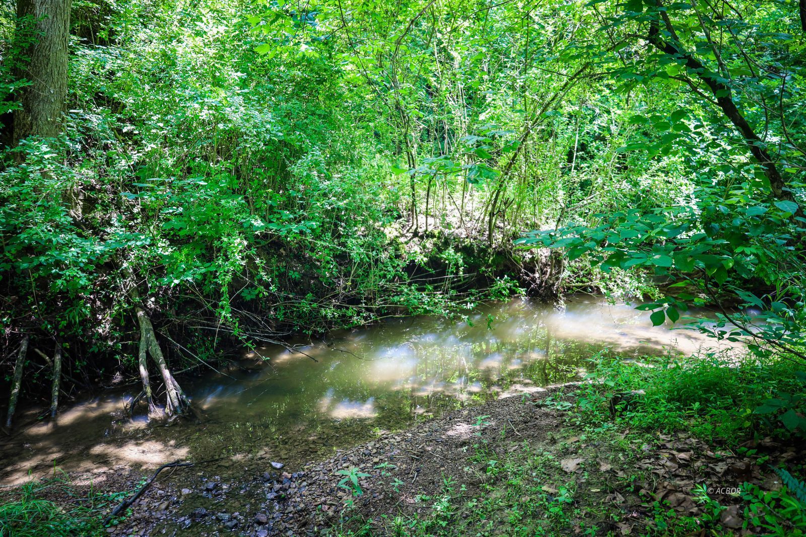 700 State Route 664 Property Photo 51