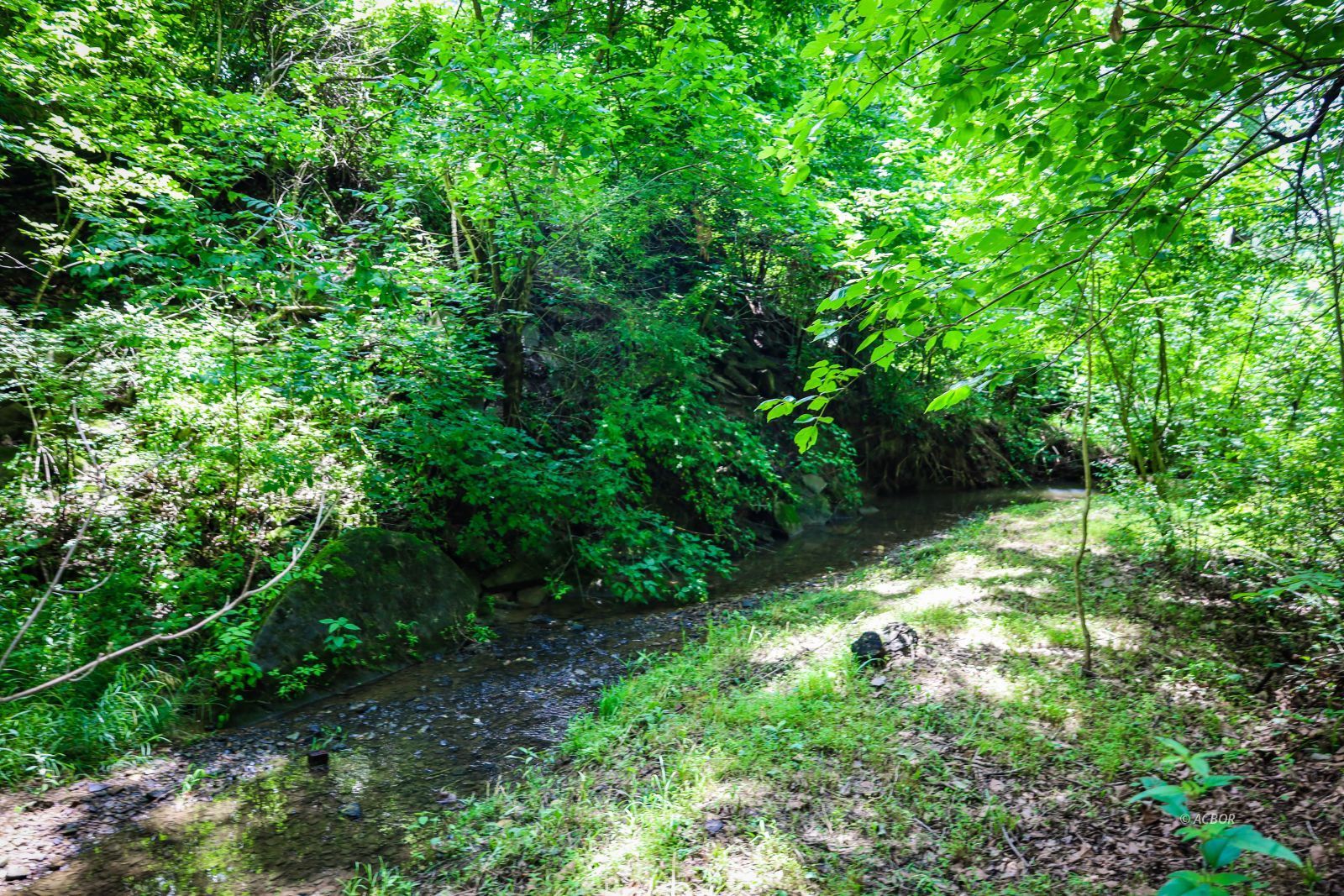 700 State Route 664 Property Photo 52