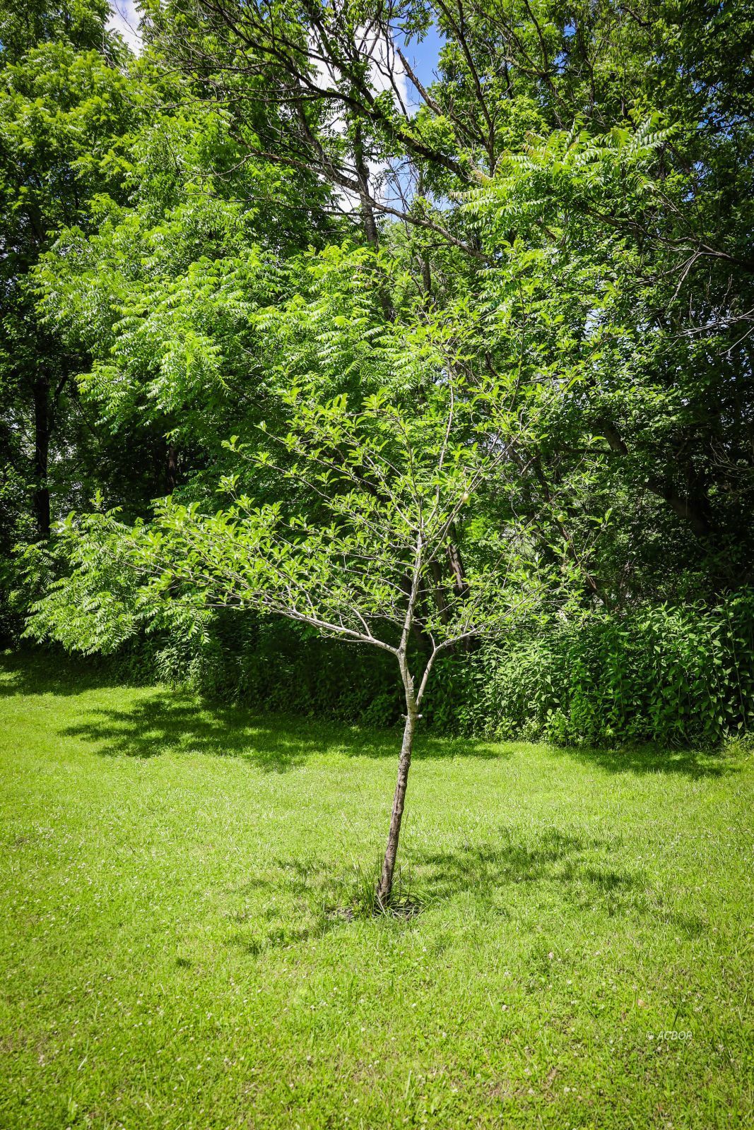 700 State Route 664 Property Photo 53