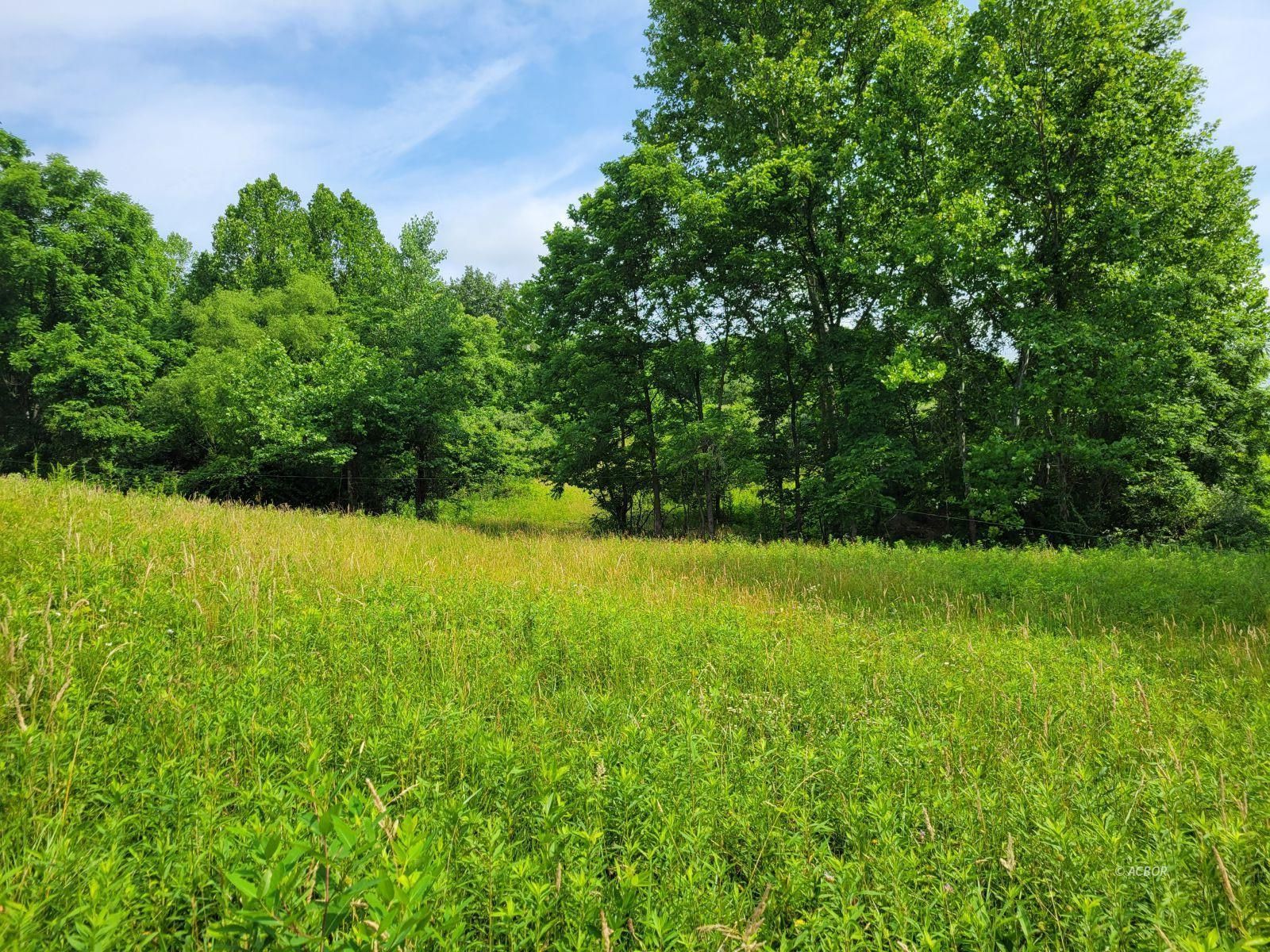 Linscott Run Rd Property Photo 1