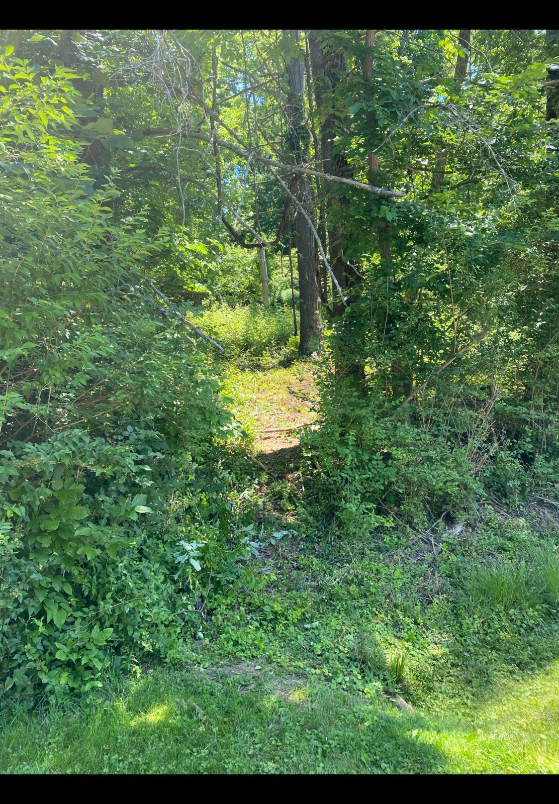 Peach Ridge Rd Property Photo 1