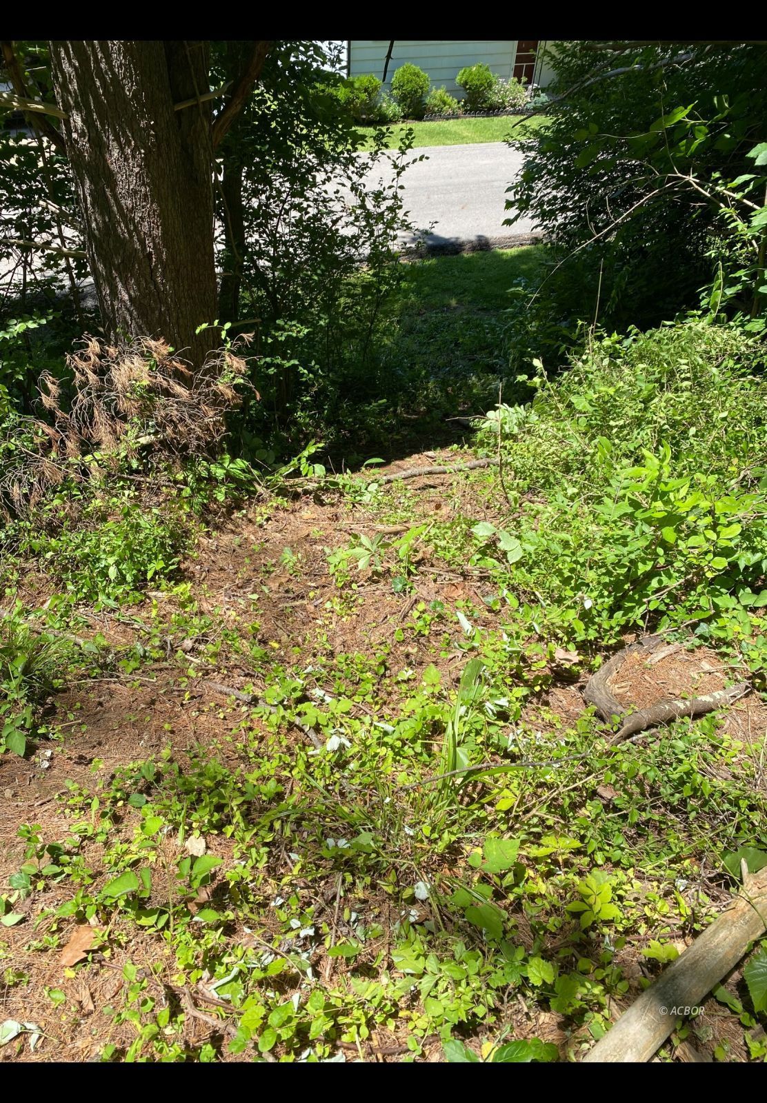 Peach Ridge Rd Property Photo 2